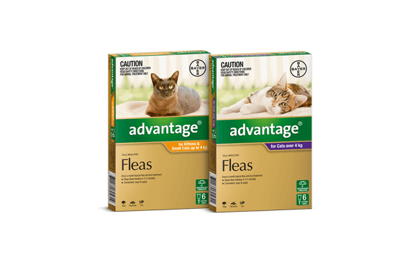 Advantage small cat outlet 4 pack