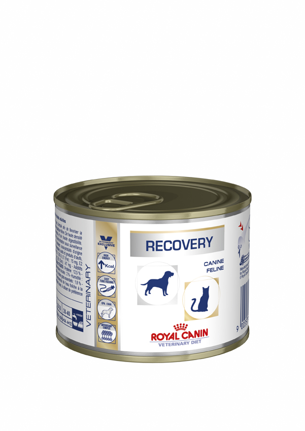 Royal Canin Recovery Cat and Dog - Vets North - | Exceptional ...
