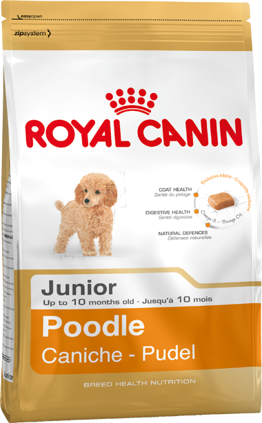 Royal canin hot sale poodle junior