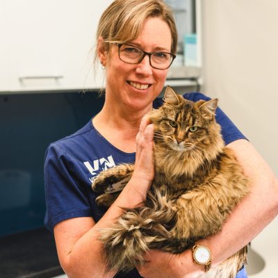 Nadia cat